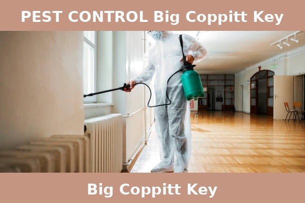 PEST CONTROL Big Coppitt Key